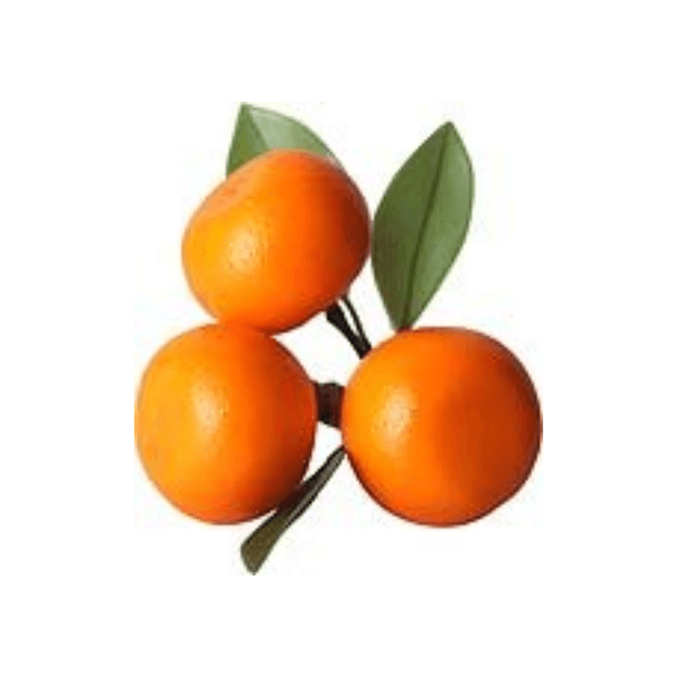 Argola Para Guardanapo Laranja 4 Pecas - Tuut Argola Para Guardanapo Laranja 4 Pecas - Tuut